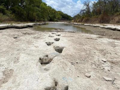 Drought in Texas park causes rivers to dry up, and dinosaur footprints 113 million years ago are rediscovered