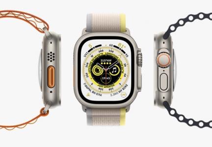 Whose market is Apple's $800 professional-grade watch grabbing?